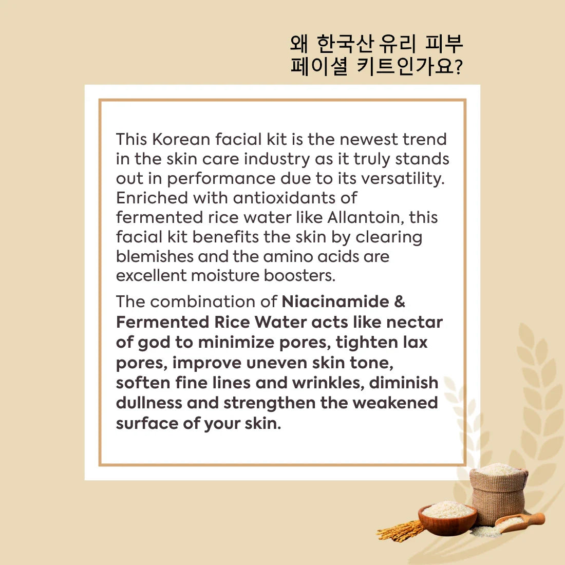 Korean Glass Skin Rice Water Facial Kit 9 Steps (183gx2)